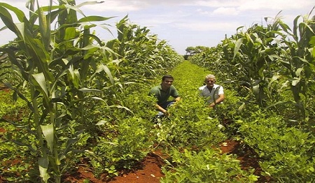 Agroecology: An Innovative Way of Farming Led by Cuba facing Climate Change