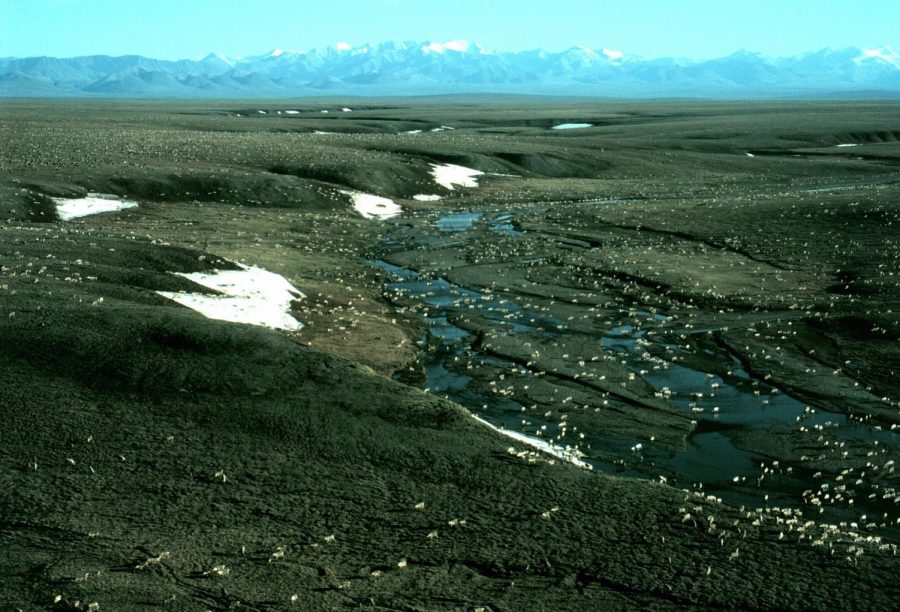 Petroleum+%26+Permafrost%3A+Impacts+of+The+Senate+Tax+Plan