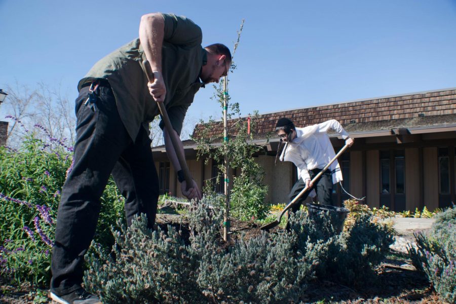 Jewish Heritage Month Closing Ceremony: Tu Bishvat Tree Planting
