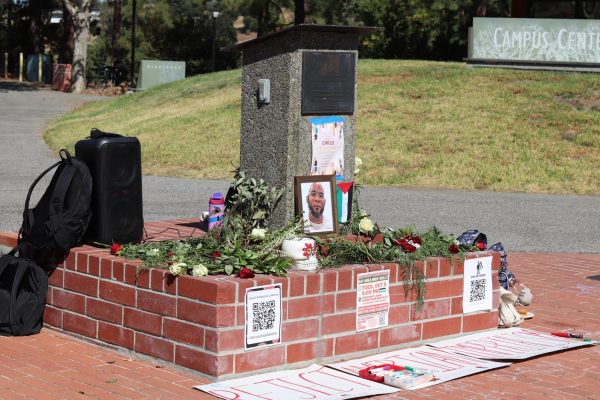 A portion of the flowers and chalk demonstrations in the Cesar Chavez Plaza.