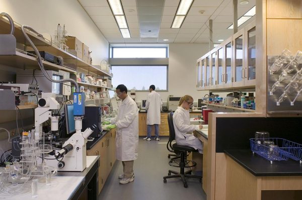 Biomedical students at UC Davis