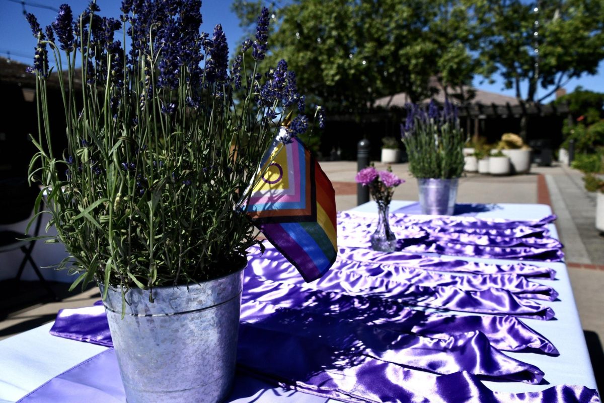 Lavender Graduation is June 24th at 3pm!